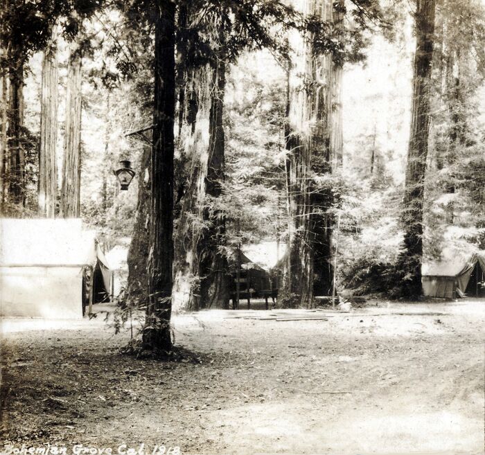 Historic campsite among tall trees at Bohemian Grove, California, 1918.