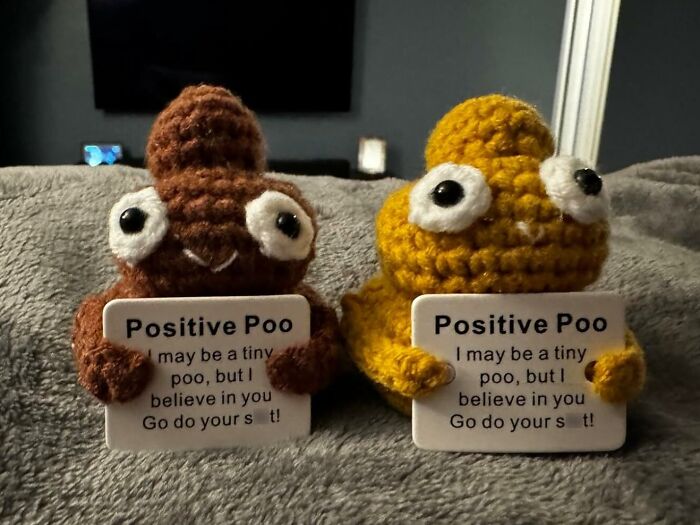 Two crochet poop figures holding signs with humorous toilet humour messages, sitting on a blanket.