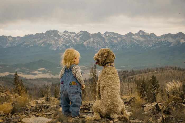 A child and a dog sit together, gazing at a vast mountain landscape, embodying cool companionship and serenity.