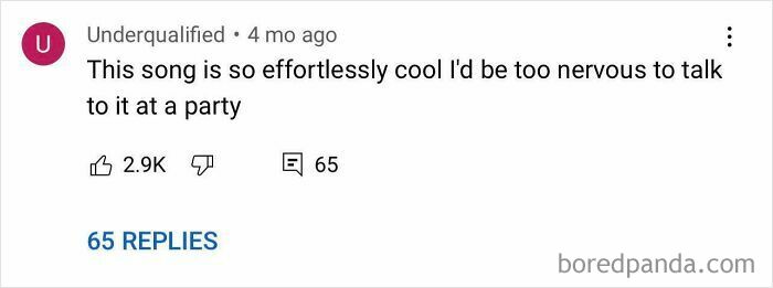 Rare compliment comment about a song being effortlessly cool, shared online with 2.9K likes and 65 replies.