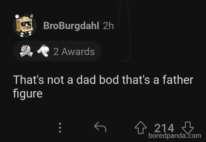 Screenshot of a Reddit post saying &ldquo;That&rsquo;s not a dad bod that&rsquo;s a father figure,&rdquo; with 214 upvotes and two awards. Rare compliments.