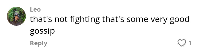 Comment text reads: "that's not fighting that's some very good gossip," relating to lipreading an "aggressive" exchange.