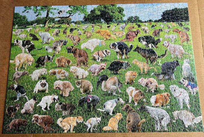 A humorous puzzle showing numerous dogs gathered on a green field.