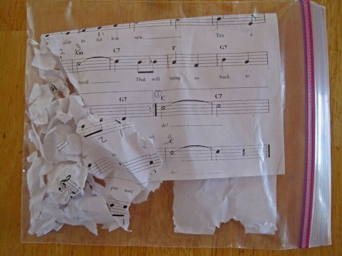 Torn sheet music stored in a plastic bag, showcasing musical notes for reading during leisure time.