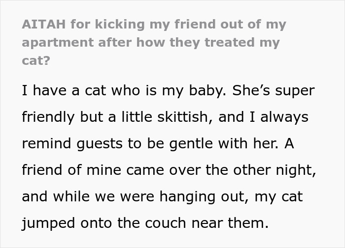 Text about someone accused of overreacting for kicking out a friend who mistreated their cat.