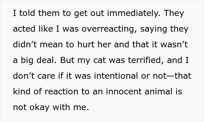 Text discussing overreaction after a friend was kicked out for mistreating a cat.