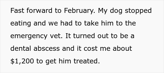 Text about spending $1,200 on a dog's emergency vet visit for a dental abscess.