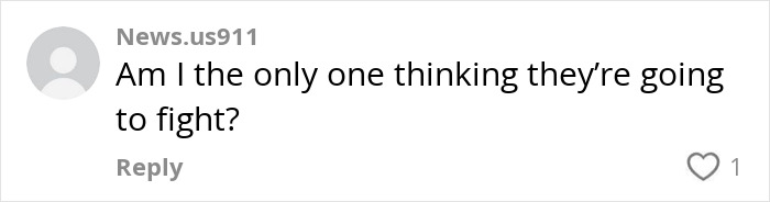 Comment expressing concern over perceived tension, suggesting an argument might happen.