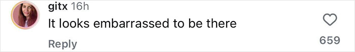 Comment on Kim Kardashian's giant bikini blow-up doll, saying, "It looks embarrassed to be there," with 659 likes.