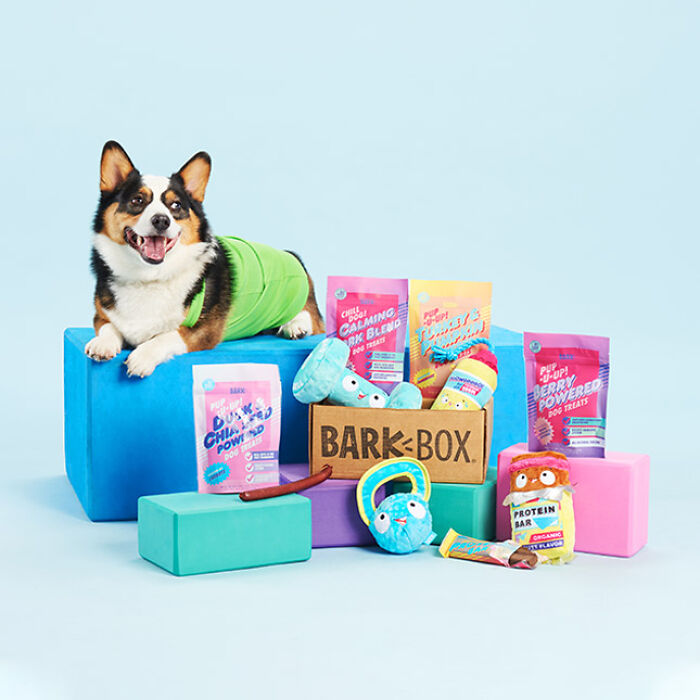 Dog with BarkBox products, showcasing valuable memberships with pet treats and toys on colorful blocks.