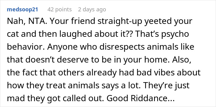 User defends kicking out friend for mistreating cat, calling it justified and questioning friend's behavior.