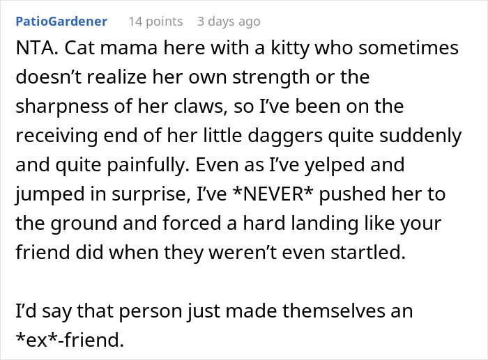 Comment discussing why friend was kicked out for mistreating a cat.