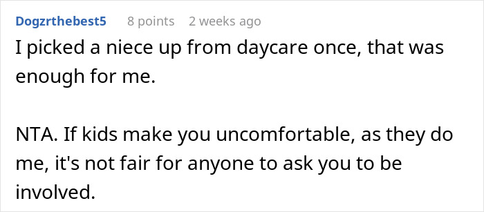 Comment from Dogzrthebest5 discussing discomfort with taking on a parental role.