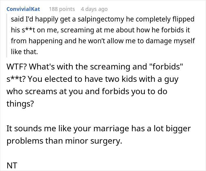 Screenshot of a Reddit comment discussing sterilizing against partner's wishes in a marriage.