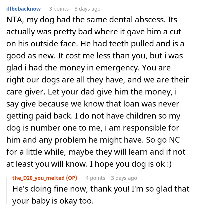 Reddit comment discussing spending money on dog care, not lending brother $700.