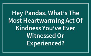 Hey Pandas, What’s The Most Heartwarming Act Of Kindness You’ve Ever Witnessed Or Experienced?