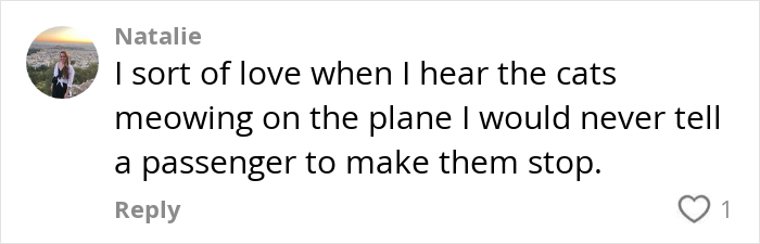 Comment on a social media platform about cats meowing on a plane, expressing love for the sound.