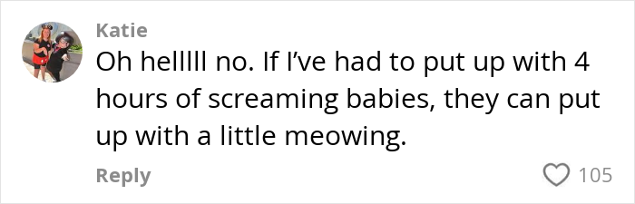 Comment discussing cat noise on a plane with a reaction count of 105.