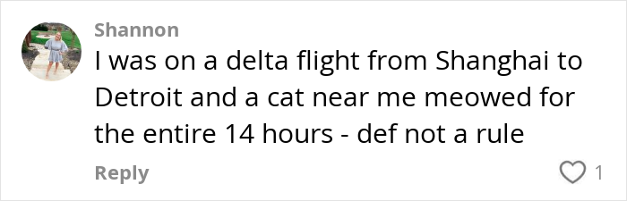 Text comment about a cat meowing for 14 hours on a Delta flight.