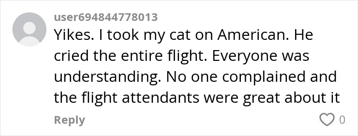 Comment from a user about a cat on a flight, praising flight attendants' handling of the situation.