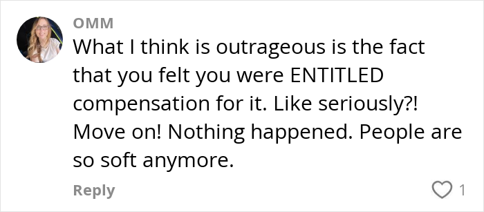 Comment on entitlement and compensation related to a flight attendant's request to a pet parent about their cat.