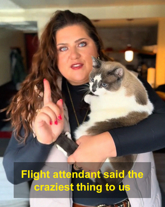 Person holding a cat indoors with text about a flight attendant speaking.