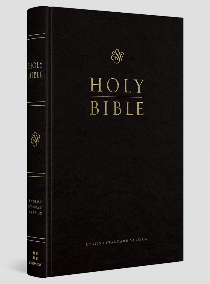 A black Holy Bible cover with gold lettering; a book some judge people for possessing.