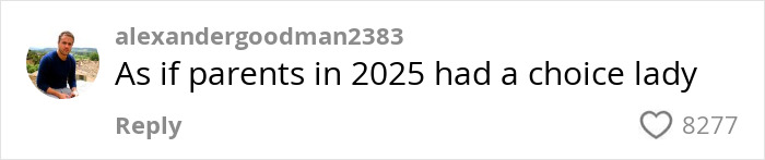 Comment questioning daycare choices for parents in 2025, with 8277 likes.