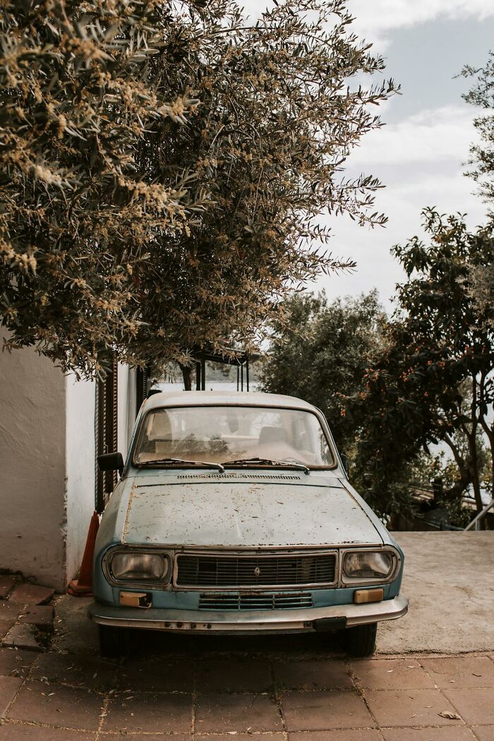 Vintage blue car parked under an olive tree, illustrating random world facts and perspectives.